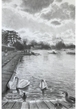 Thames path 7, 2025